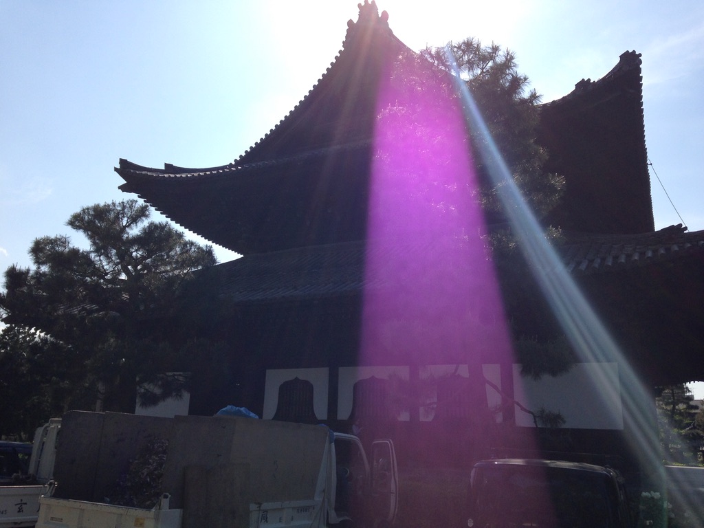 Healing Dharma in Japan
